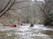 Spring Creek 4